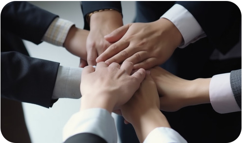 Introduction To The Team